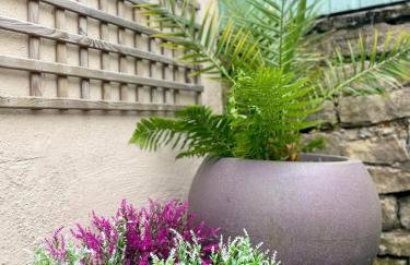 Wild Springs - Centraly Located House With Free Parking - Foto 20