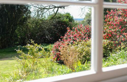 The Patio Flat - Foto 21