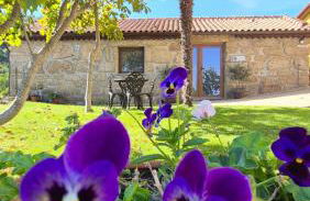 Quinta do Limite - Casa do Camponês - Foto 3