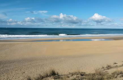 Joli Petit Chalet La Cote d'Argent - Foto 24