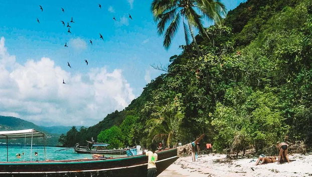 Koh Samui Island Hopping e mergulho com snorkel: Ilha dos Corais e dos Porcos - Tour de dia inteiro - Foto 5