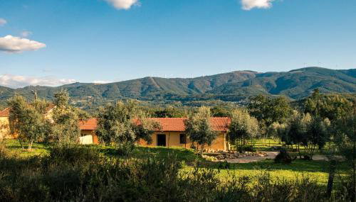 Quinta-lina de serpins - Foto 5