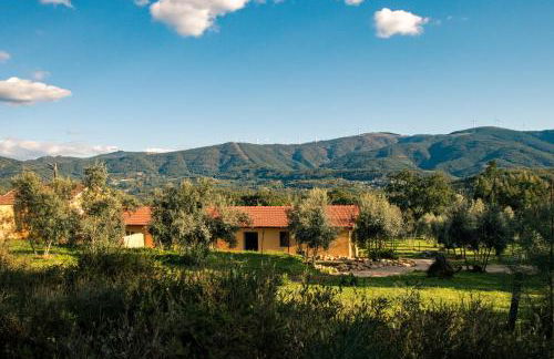 Quinta-lina de serpins - Foto 27