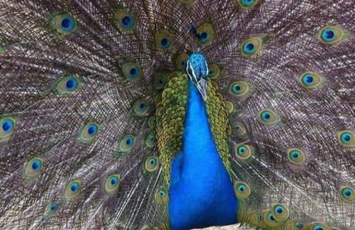 Flat para 6 pessoas no Condomínio Monte Castelo Mod 4 Flat 1B - Foto 19