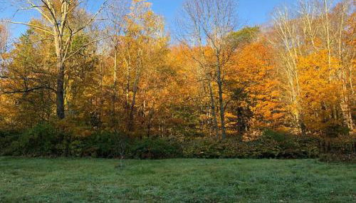 Modern Cottage One (The Lorca, Catskills) - Foto 2