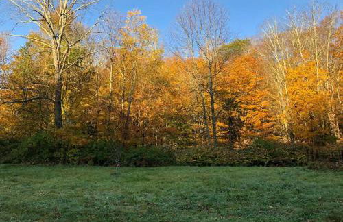 Modern Cottage One (The Lorca, Catskills) - Foto 2