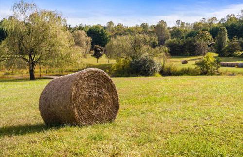 Mountain Mama Ranch - Luxury farmhouse on 200 acres with mountain views, 20mins to Shenandoah, 90mins from DC - Foto 38