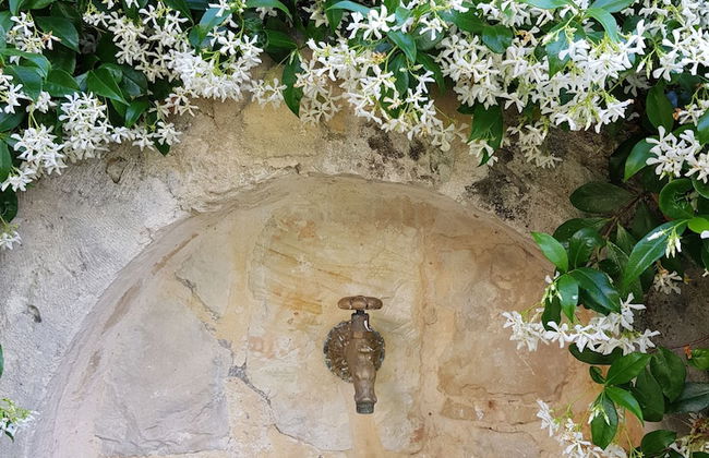 Traditional Ioannis Cottage...luxurious & Rustic With Ecological Heated Pool !!! - Foto 20