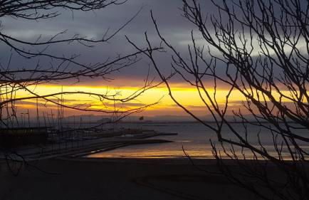 1215 BAIX CAMP casa con jardin - Apivend Immo - Foto 27