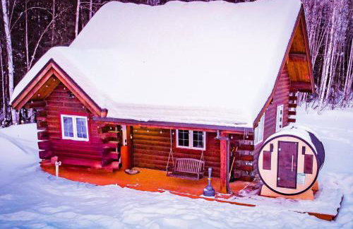 Northern Lights Log House w/ Sauna - Foto 6