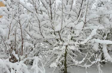 Wohnung im Schwarzwald mit Panorama Blick - Foto 40