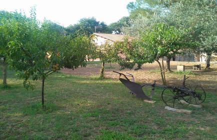 La stalla di nonno Zopito casa vacanze - Foto 24