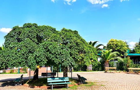 Herdade Clube Tiro Monfortinho - Foto 47
