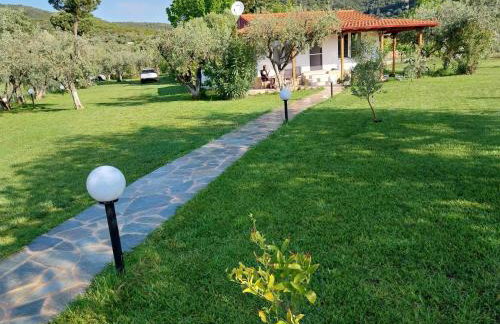 Bill & Eva's precious jewel - Photo 55