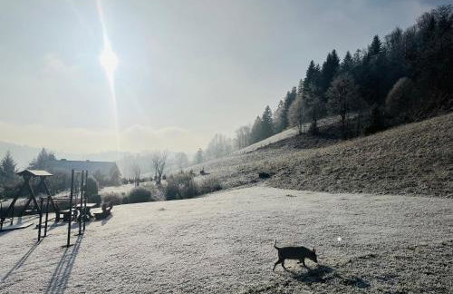 Apartamenty Kadłubek - Foto 8