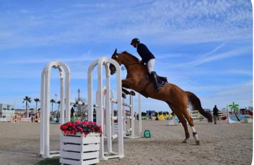MET Oliva Nova Playa chalet grande con jardín MET a 5 minutos y a 3 de la playa - Photo 20