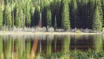 Majestic Suite 5 Bedroom Brighton Chalet - Foto 3, Other