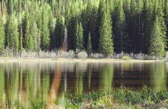 Big Cottonwood 2 Bedroom Brighton Chalet - Foto 10