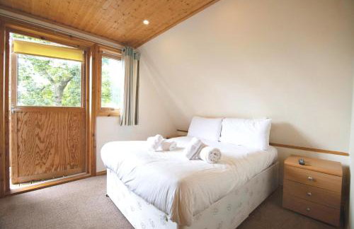 Lazy Bear Lodge with Hot Tub - Finlake Resort and Spa in Devon - Foto 3