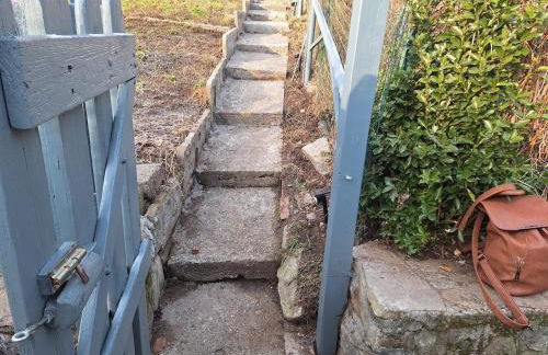 Tiny Torbiera - Foto 4