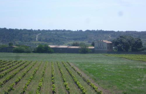 Les Fenals - Foto 18