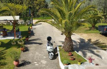 Mιχαλης Apartments - Foto 48