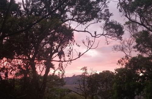 Casa da Árvore - Foto 25