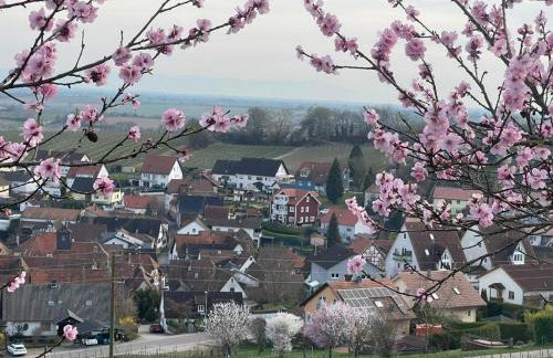 FeWoSchwedenhaus - Foto 21