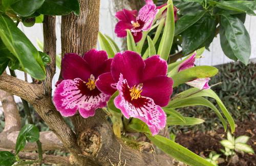 Comfort Nest - Foto 35