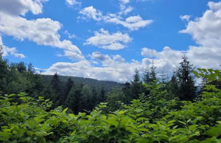 Wohlfühl-Ferienwohnung mit Tiefgarage im Grünen - Photo 28