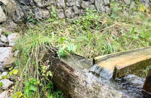 Jägerlodge am Waldrand in Grainau - Foto 29