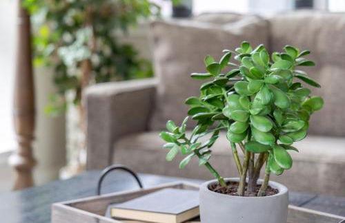 Rooftop Sunset Escape BBQ & Billiards Sleeps 8 - Foto 34