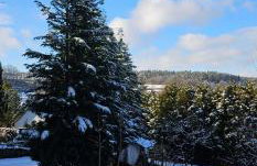 Romantisches Waldhaus mit Privatsauna, Grill und Feuerschtelle - Foto 10