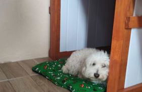 Cabanas Sol e Lua - Foto 2