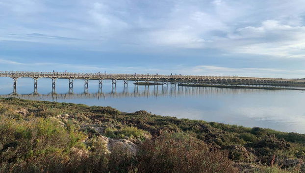 Ria Formosa Bike Tour - Foto 3