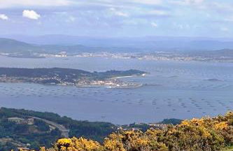 The Rianxeira - Foto 25