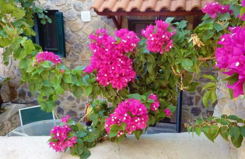 Agistri SOPHIA'S APARTMENT - Foto 1