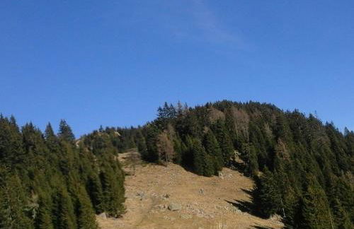 CASA IDA - ClPAT 22253 - Photo 38