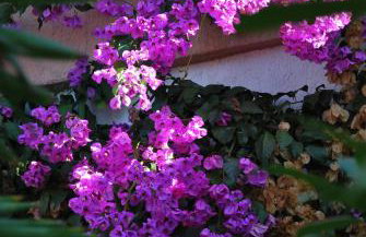 Apartments Barbara - Photo 28