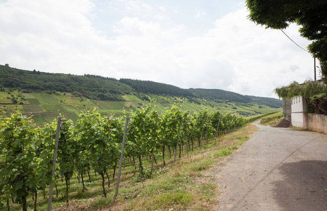 Malerisches Ferienhaus in Reil - Foto 38