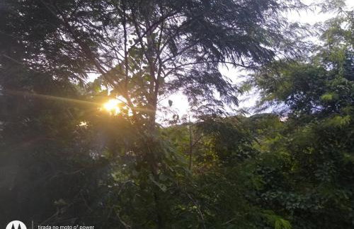 tree house - Foto 14