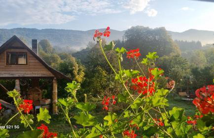 Pod Smerekiem - Photo 1