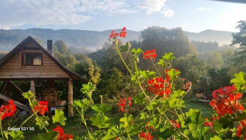 Pod Smerekiem - Foto 1, Garden, Garden view