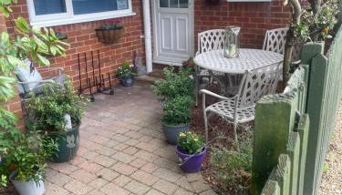 New Forest View - Photo 1