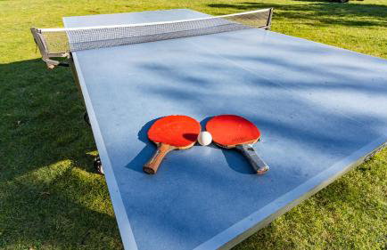 Agroturystyka Nad Wartą - Foto 19