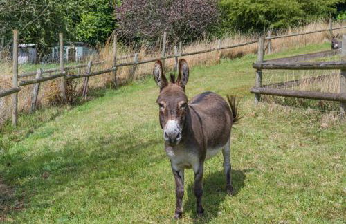 1 Bed in Ashprington oc-m32906 - Photo 27