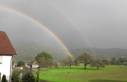 Ferienhaus Bine - Foto 37