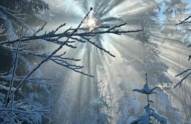 Leśna Przystań Gorce - Foto 25