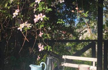 Leśna 6 - House with a garden - Foto 51