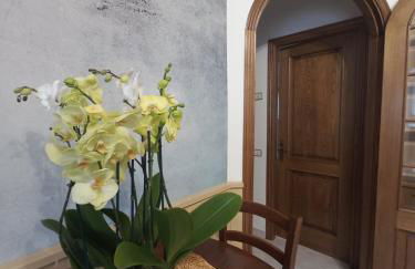 Rosa d' Inverno - Foto 7